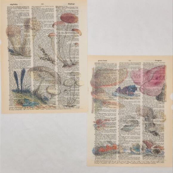 Mushroom Dictionary Prints 3, Colorful Mushroom Prints, Book Page Prints - Picture 5 of 6